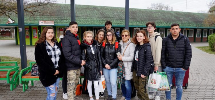 Csinálták a fesztivált a Cseresnyés kollégisták